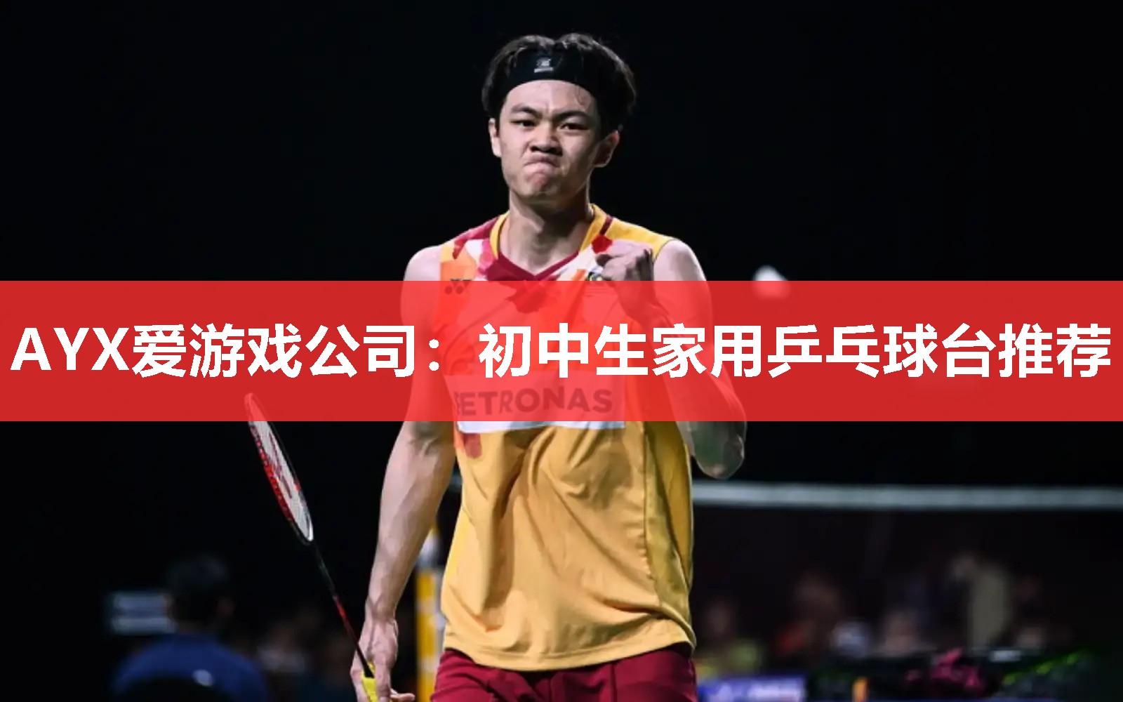 AYX爱游戏公司：初中生家用乒乓球台推荐