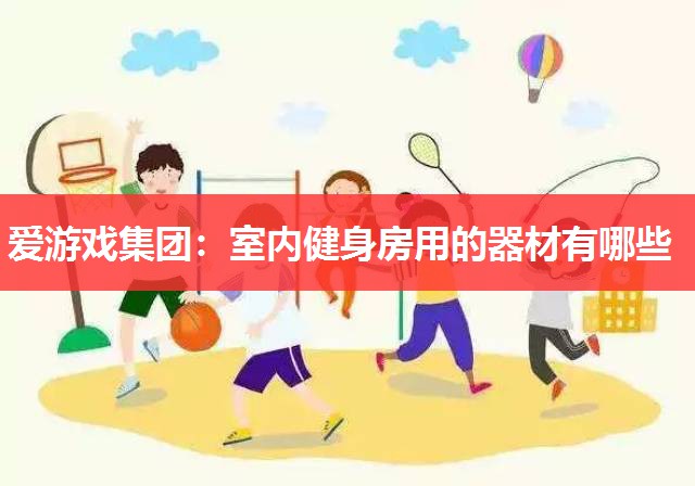 爱游戏集团：室内健身房用的器材有哪些
