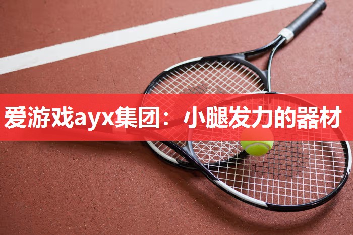 爱游戏ayx集团：小腿发力的器材