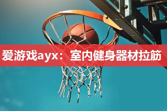 爱游戏ayx：室内健身器材拉筋