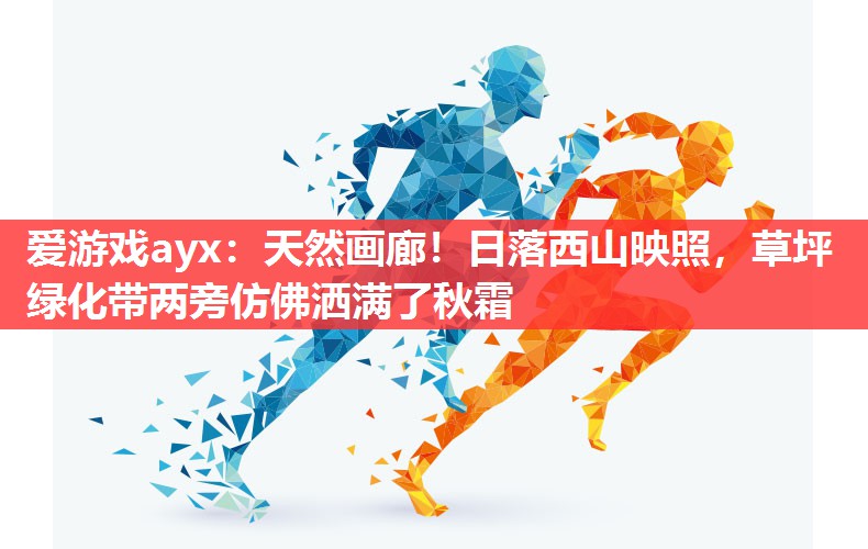 爱游戏ayx：天然画廊！日落西山映照，草坪绿化带两旁仿佛洒满了秋霜