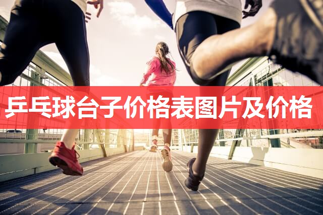 乒乓球台子价格表图片及价格