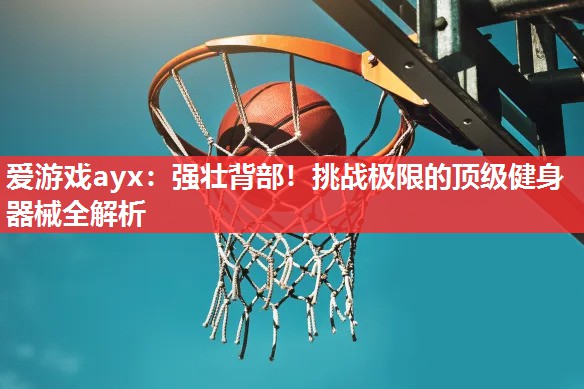 爱游戏ayx：强壮背部！挑战极限的顶级健身器械全解析