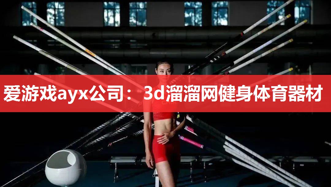 爱游戏ayx公司：3d溜溜网健身体育器材