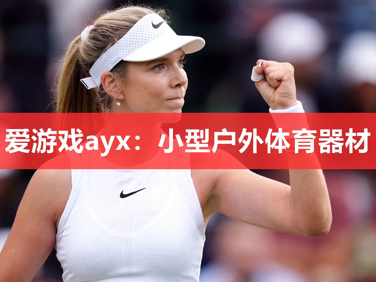 爱游戏ayx：小型户外体育器材