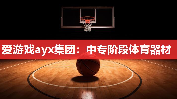 爱游戏ayx集团：中专阶段体育器材