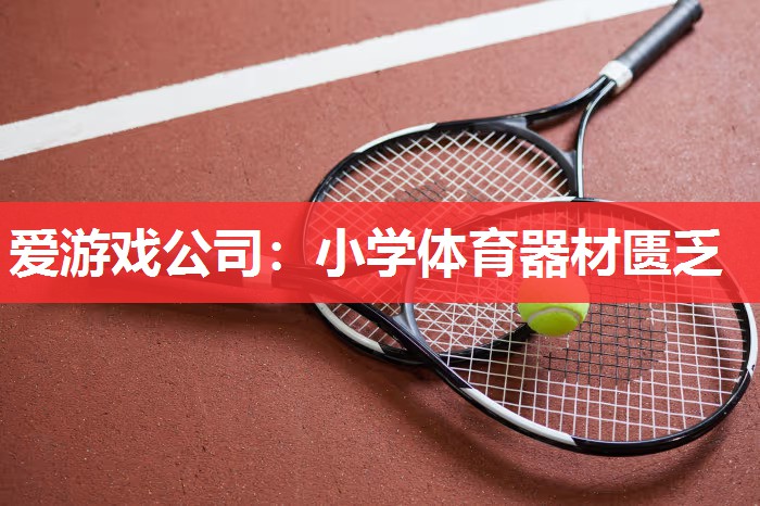 爱游戏公司：小学体育器材匮乏