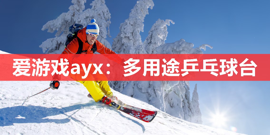 爱游戏ayx：多用途乒乓球台