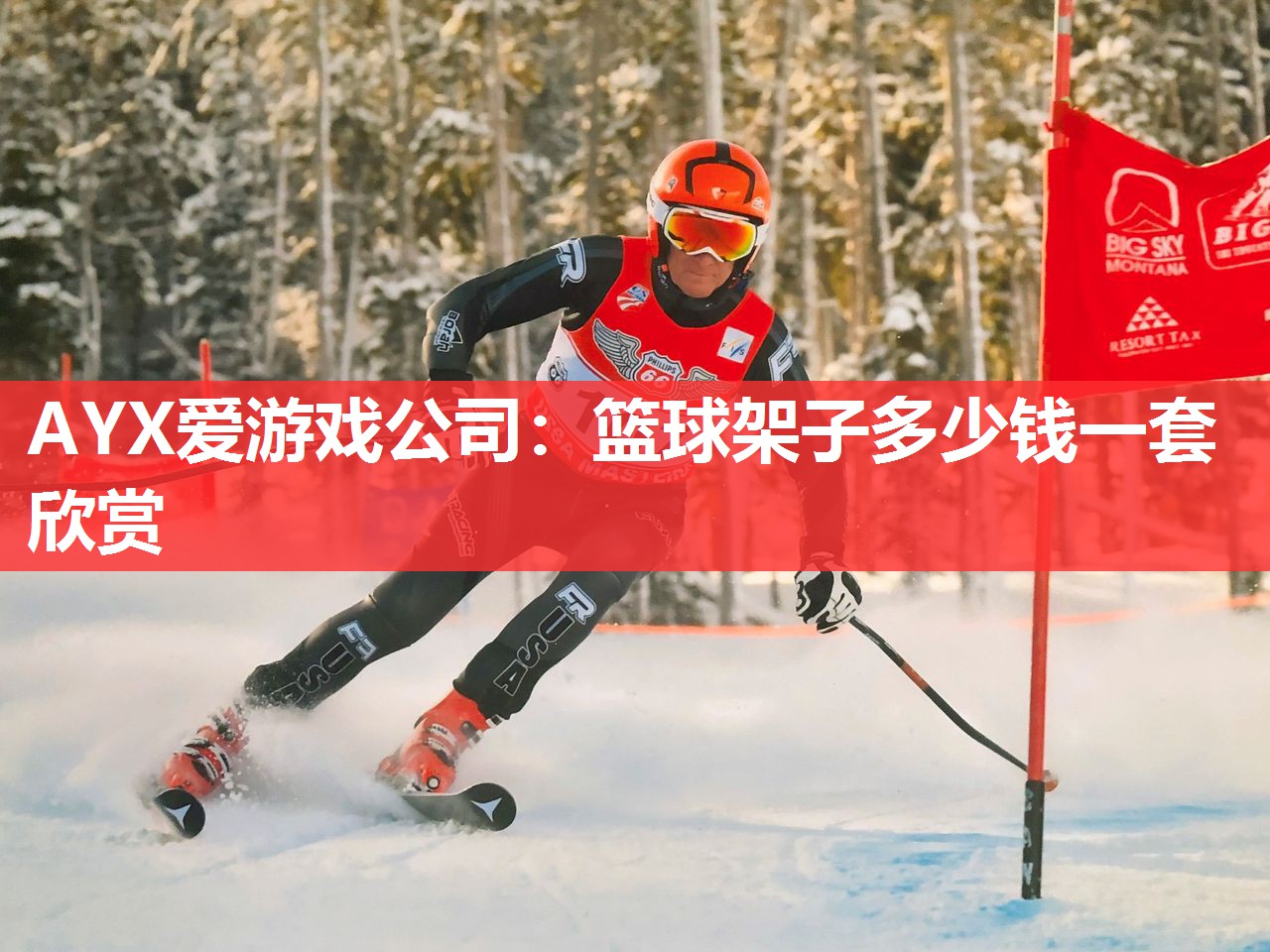 AYX爱游戏公司：篮球架子多少钱一套欣赏
