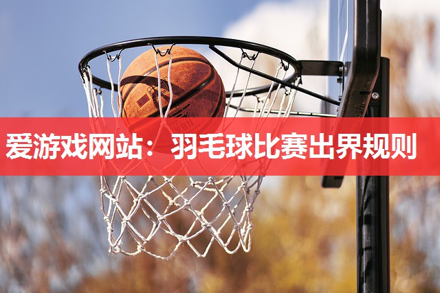 爱游戏网站：羽毛球比赛出界规则