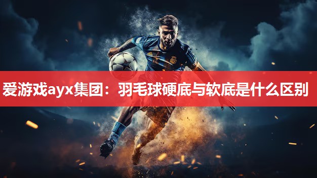 爱游戏ayx集团：羽毛球硬底与软底是什么区别