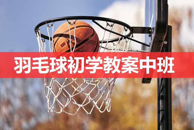 羽毛球初学教案中班