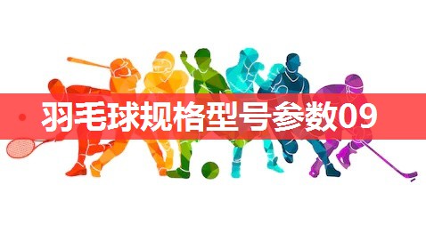 羽毛球规格型号参数09