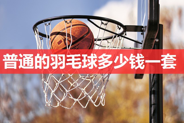 普通的羽毛球多少钱一套