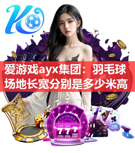 爱游戏ayx集团：羽毛球场地长宽分别是多少米高