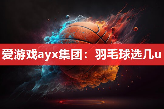 爱游戏ayx集团：羽毛球选几u