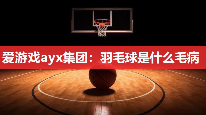 爱游戏ayx集团：羽毛球是什么毛病