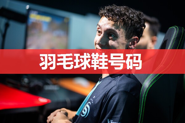 羽毛球鞋号码