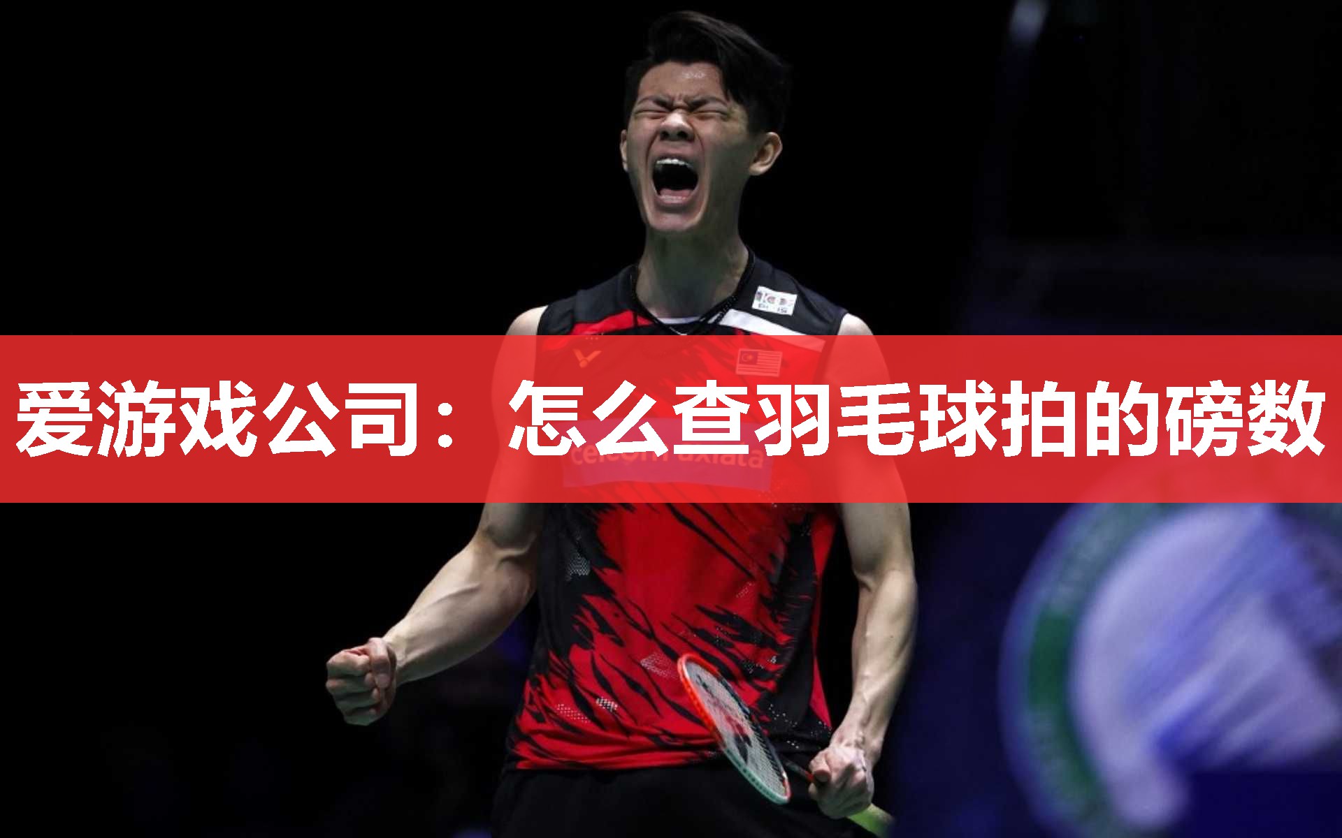 怎么查羽毛球拍的磅数 怎么查羽毛球拍的磅数