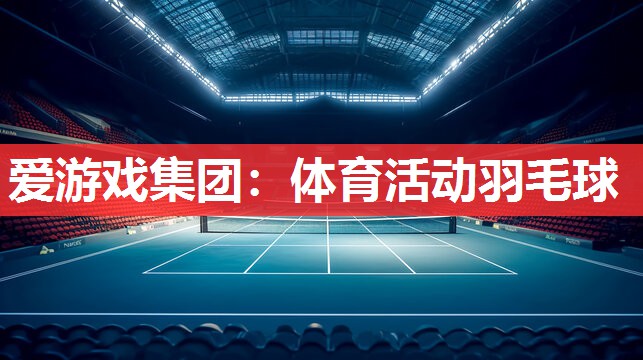 体育活动羽毛球 体育活动羽毛球