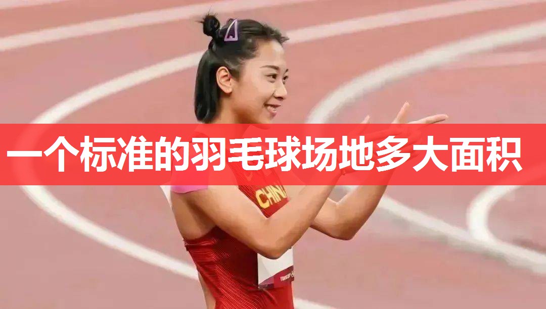 一个标准的羽毛球场地多大面积 一个标准的羽毛球场地多大面积
