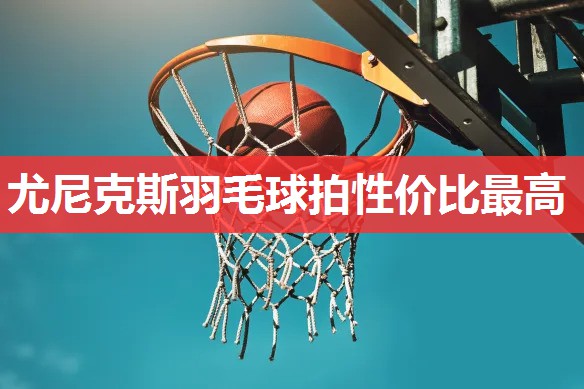 尤尼克斯羽毛球拍性价比最高