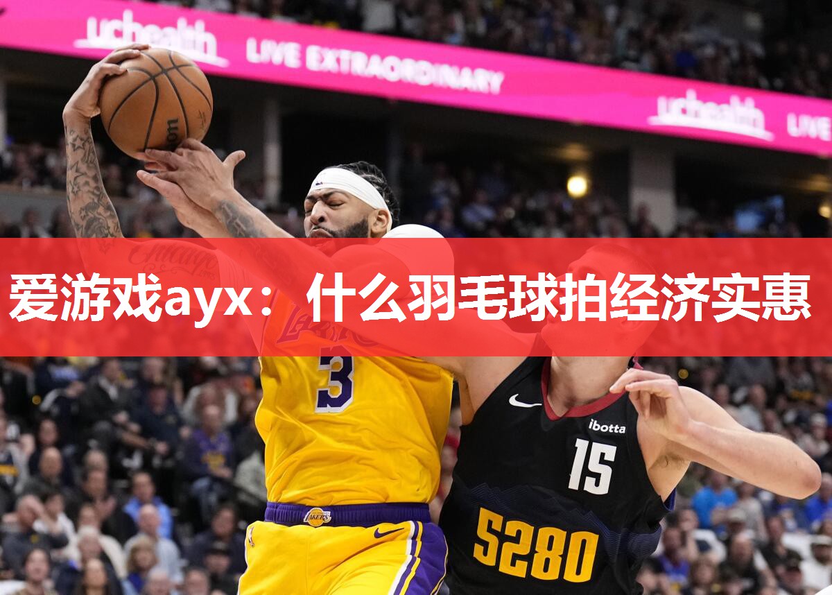什么羽毛球拍经济实惠 什么羽毛球拍经济实惠