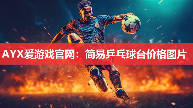 简易乒乓球台价格图片 简易乒乓球台价格图片
